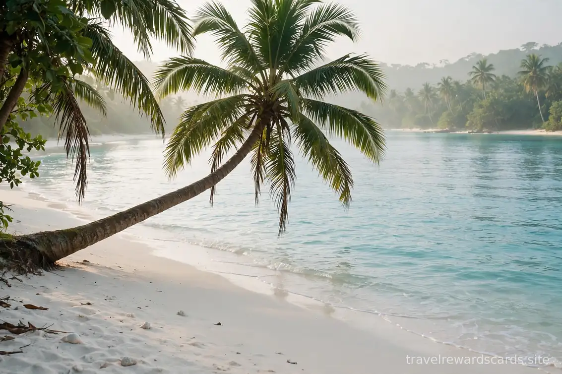 Playa tropical con una palmera inclinada sobre arena blanca y mar turquesa