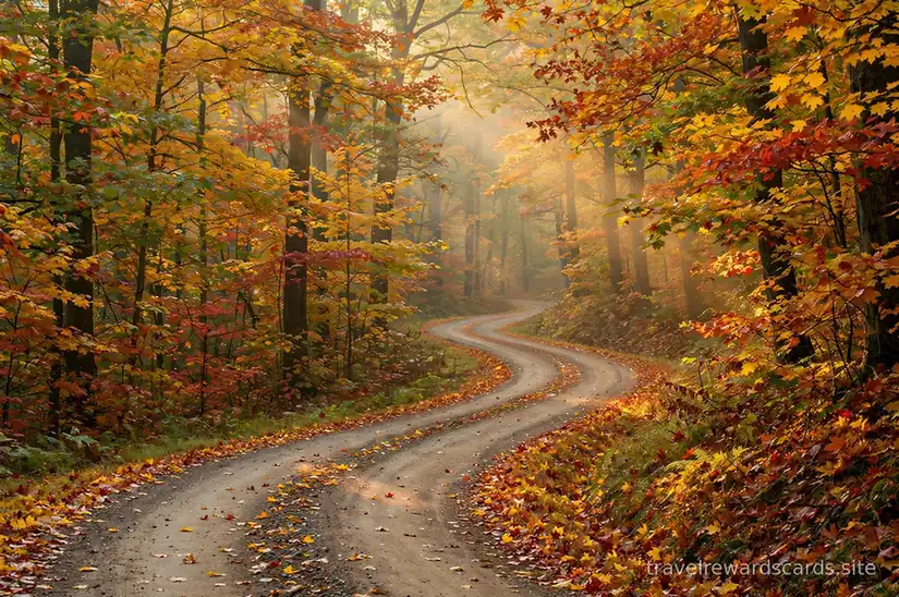 Carretera tranquila entre un bosque de otoño con follaje dorado